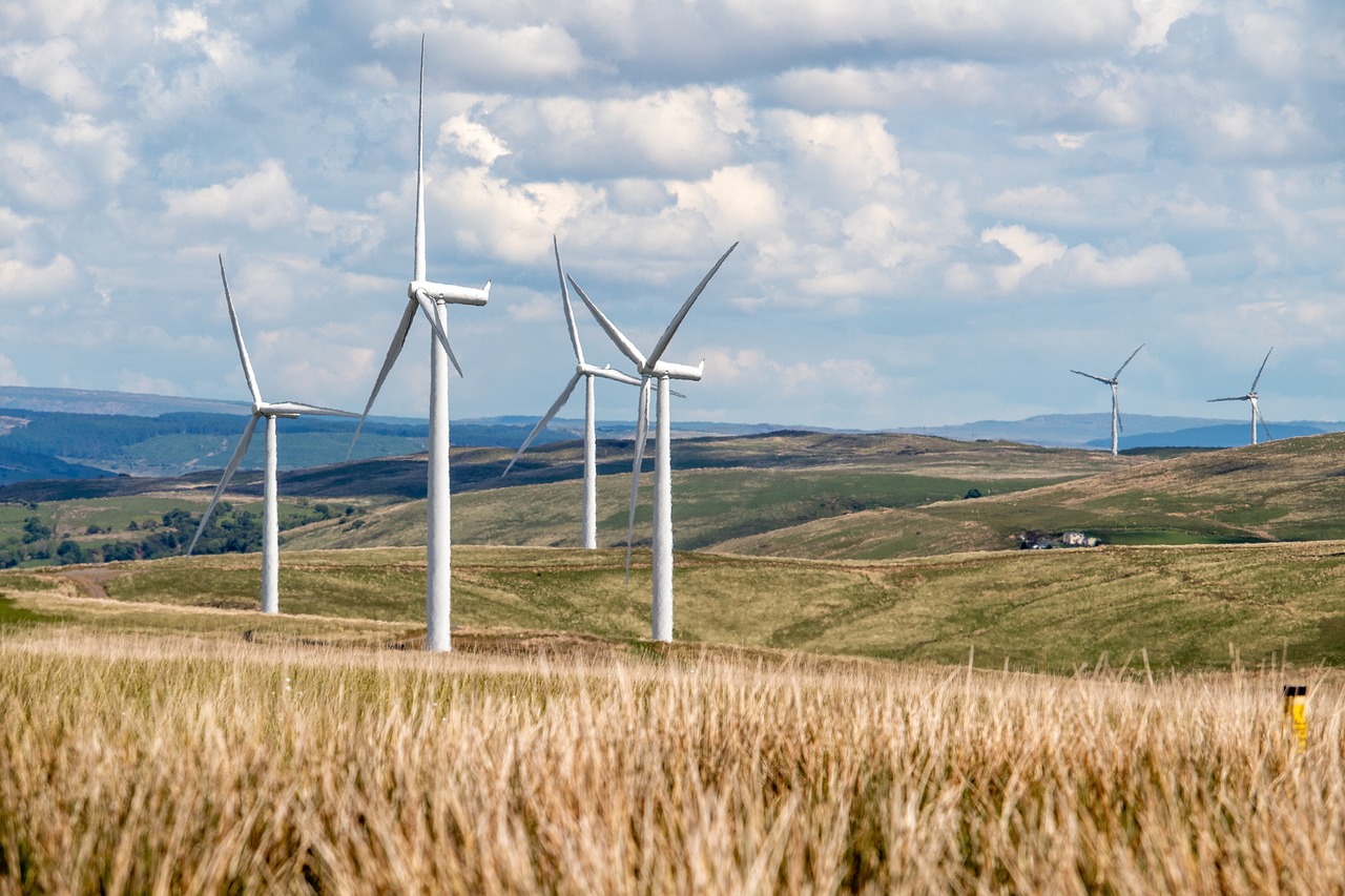 Wind turbines across open agricultural land in a rural landscape.
